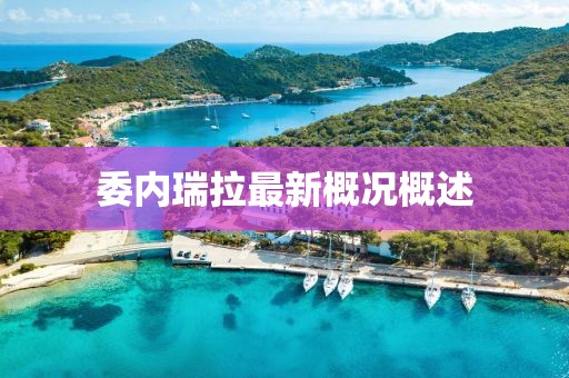 委內(nèi)瑞拉最新概況概述