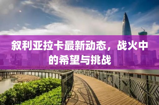 敘利亞拉卡最新動態(tài)，戰(zhàn)火中的希望與挑戰(zhàn)
