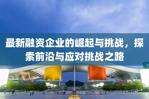 最新融資企業(yè)的崛起與挑戰(zhàn)，探索前沿與應(yīng)對挑戰(zhàn)之路