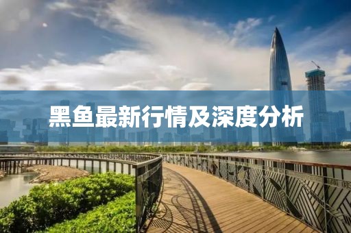 黑魚最新行情及深度分析