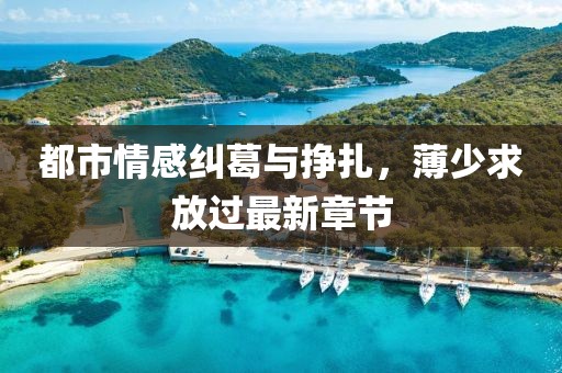 都市情感糾葛與掙扎，薄少求放過最新章節(jié)