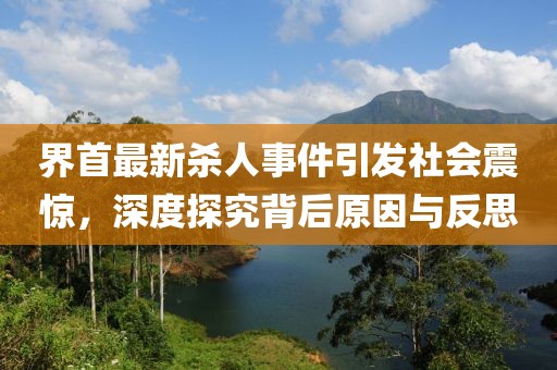 界首最新殺人事件引發(fā)社會震驚，深度探究背后原因與反思
