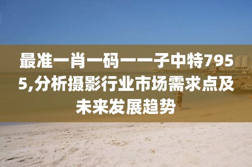 最準一肖一碼一一子中特7955,分析攝影行業(yè)市場需求點及未來發(fā)展趨勢