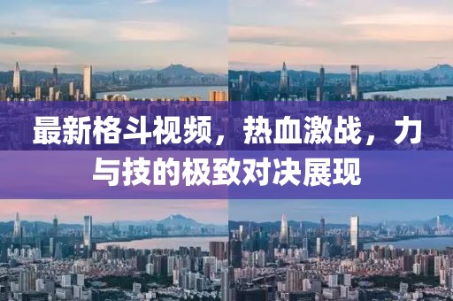 最新格斗視頻，熱血激戰(zhàn)，力與技的極致對決展現