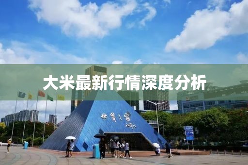 大米最新行情深度分析
