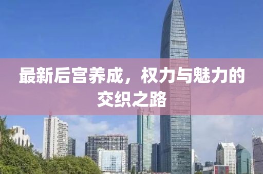 最新后宮養(yǎng)成，權(quán)力與魅力的交織之路