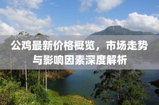 公雞最新價格概覽，市場走勢與影響因素深度解析