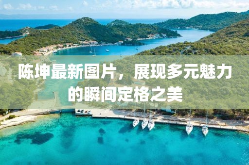 陳坤最新圖片，展現(xiàn)多元魅力的瞬間定格之美