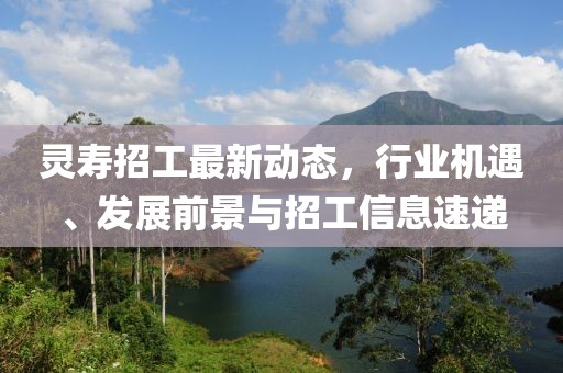 靈壽招工最新動(dòng)態(tài)，行業(yè)機(jī)遇、發(fā)展前景與招工信息速遞
