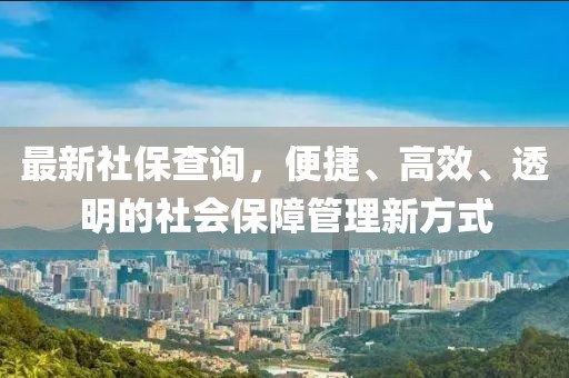 最新社保查詢，便捷、高效、透明的社會(huì)保障管理新方式
