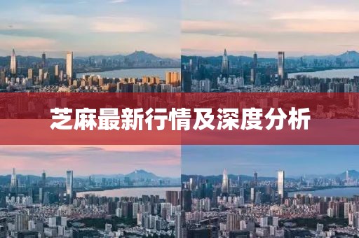 芝麻最新行情及深度分析