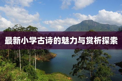 最新小學(xué)古詩(shī)的魅力與賞析探索