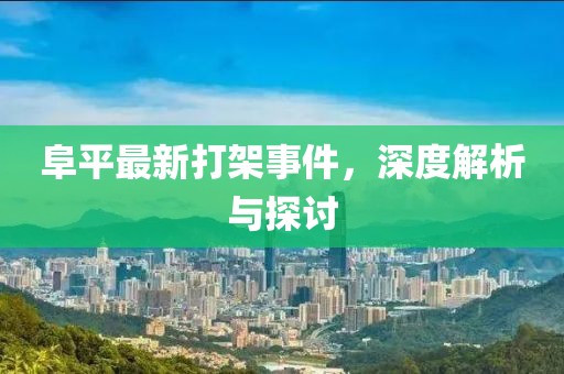 阜平最新打架事件，深度解析與探討