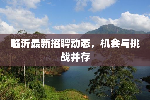 臨沂最新招聘動態(tài)，機會與挑戰(zhàn)并存