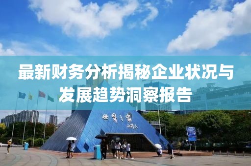 最新財務(wù)分析揭秘企業(yè)狀況與發(fā)展趨勢洞察報告