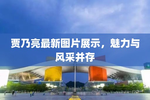 賈乃亮最新圖片展示，魅力與風(fēng)采并存