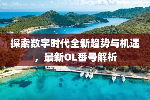 探索數(shù)字時代全新趨勢與機遇，最新OL番號解析