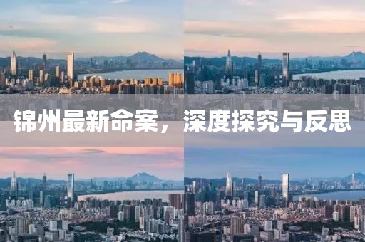 錦州最新命案，深度探究與反思