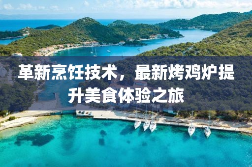 革新烹飪技術(shù)，最新烤雞爐提升美食體驗(yàn)之旅