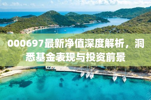 000697最新凈值深度解析，洞悉基金表現(xiàn)與投資前景