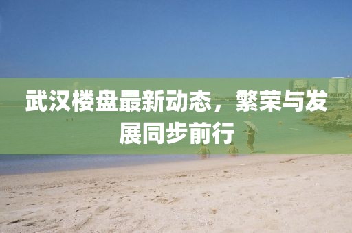 武漢樓盤(pán)最新動(dòng)態(tài)，繁榮與發(fā)展同步前行