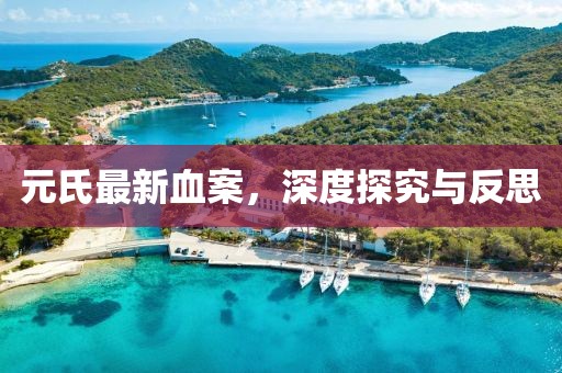 元氏最新血案，深度探究與反思