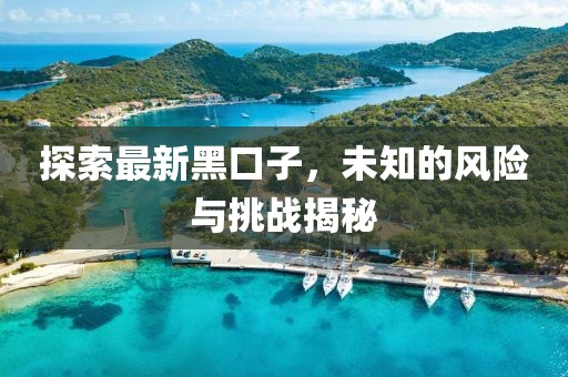探索最新黑口子，未知的風險與挑戰(zhàn)揭秘
