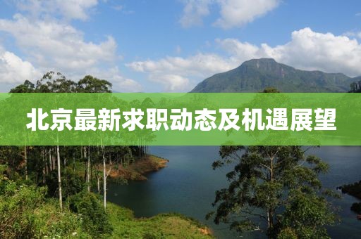 北京最新求職動態(tài)及機遇展望