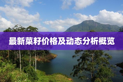 最新菜籽價格及動態(tài)分析概覽