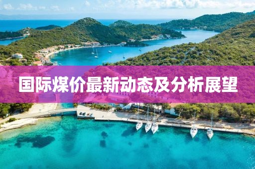 國際煤價最新動態(tài)及分析展望