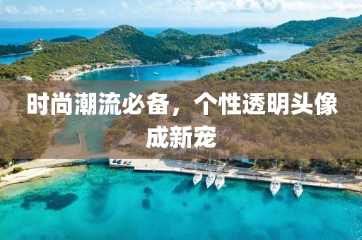 時尚潮流必備，個性透明頭像成新寵