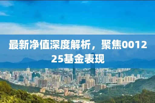 最新凈值深度解析，聚焦001225基金表現(xiàn)