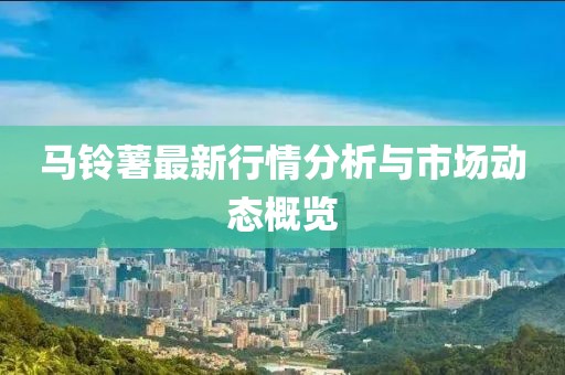 馬鈴薯最新行情分析與市場動(dòng)態(tài)概覽
