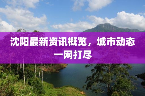 沈陽最新資訊概覽，城市動(dòng)態(tài)一網(wǎng)打盡