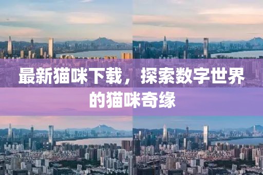最新貓咪下載，探索數(shù)字世界的貓咪奇緣