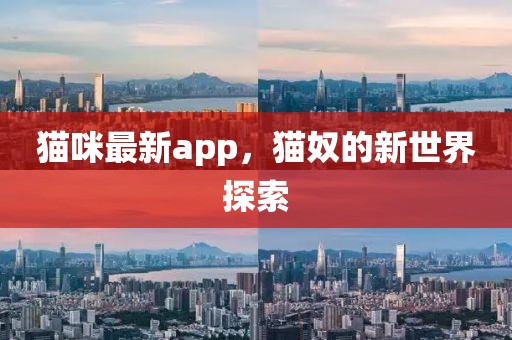 貓咪最新app，貓奴的新世界探索