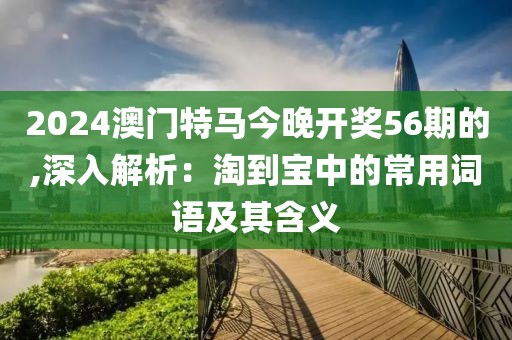 2024澳門特馬今晚開獎56期的,深入解析：淘到寶中的常用詞語及其含義