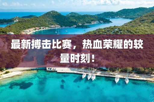 最新搏擊比賽，熱血榮耀的較量時刻！