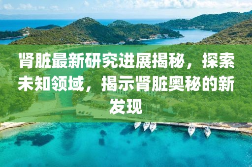 腎臟最新研究進(jìn)展揭秘，探索未知領(lǐng)域，揭示腎臟奧秘的新發(fā)現(xiàn)