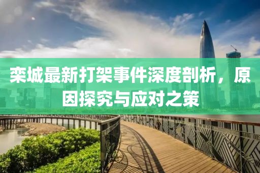 欒城最新打架事件深度剖析，原因探究與應(yīng)對(duì)之策
