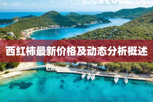 西紅柿最新價格及動態(tài)分析概述