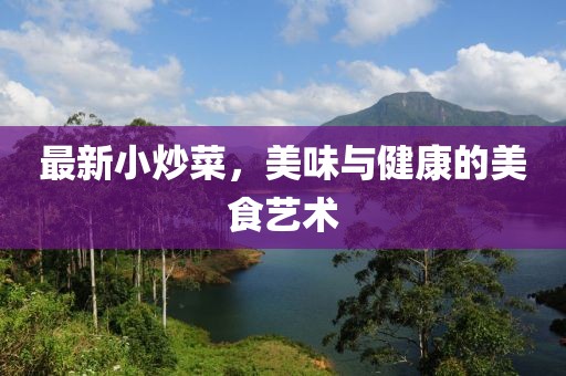 最新小炒菜，美味與健康的美食藝術(shù)