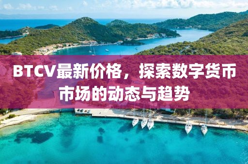 BTCV最新價格，探索數(shù)字貨幣市場的動態(tài)與趨勢