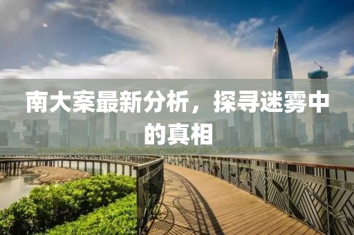 南大案最新分析，探尋迷霧中的真相