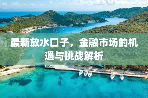 最新放水口子，金融市場的機(jī)遇與挑戰(zhàn)解析