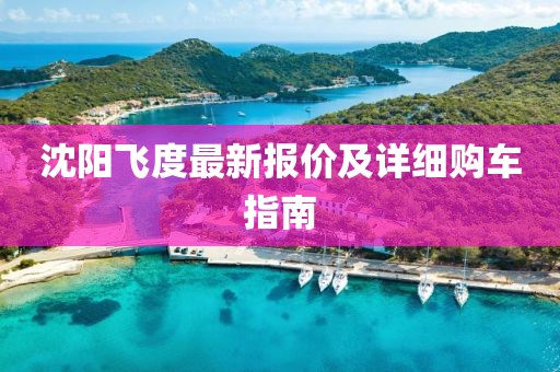 沈陽飛度最新報(bào)價(jià)及詳細(xì)購車指南