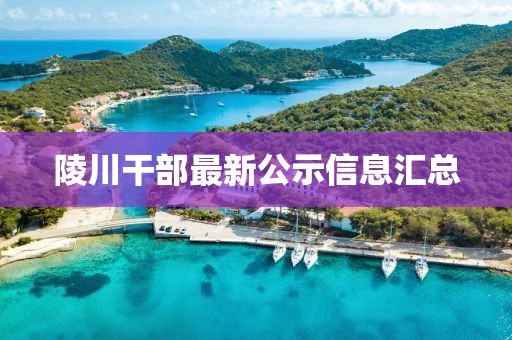 陵川干部最新公示信息匯總
