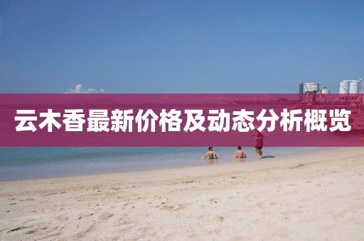 云木香最新價格及動態(tài)分析概覽