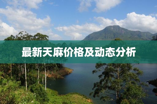 最新天麻價(jià)格及動(dòng)態(tài)分析