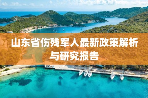 山東省傷殘軍人最新政策解析與研究報(bào)告